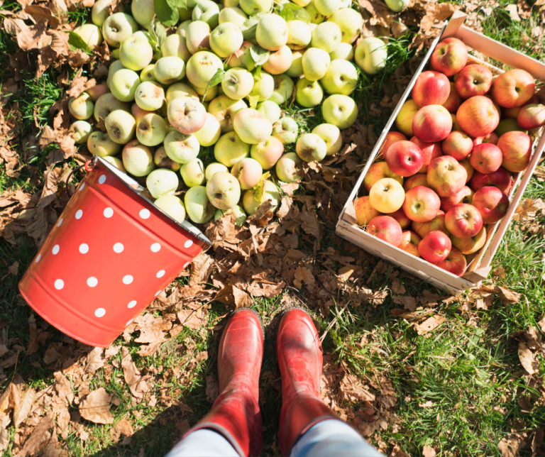 33 Fall Activities That Boost Foot Health